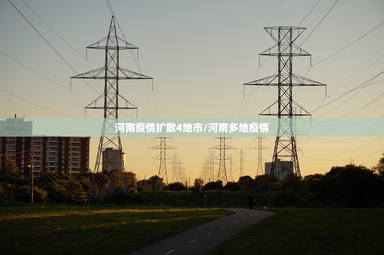 河南疫情扩散4地市/河南多地疫情