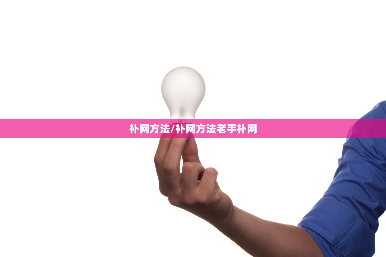 补网方法/补网方法老手补网