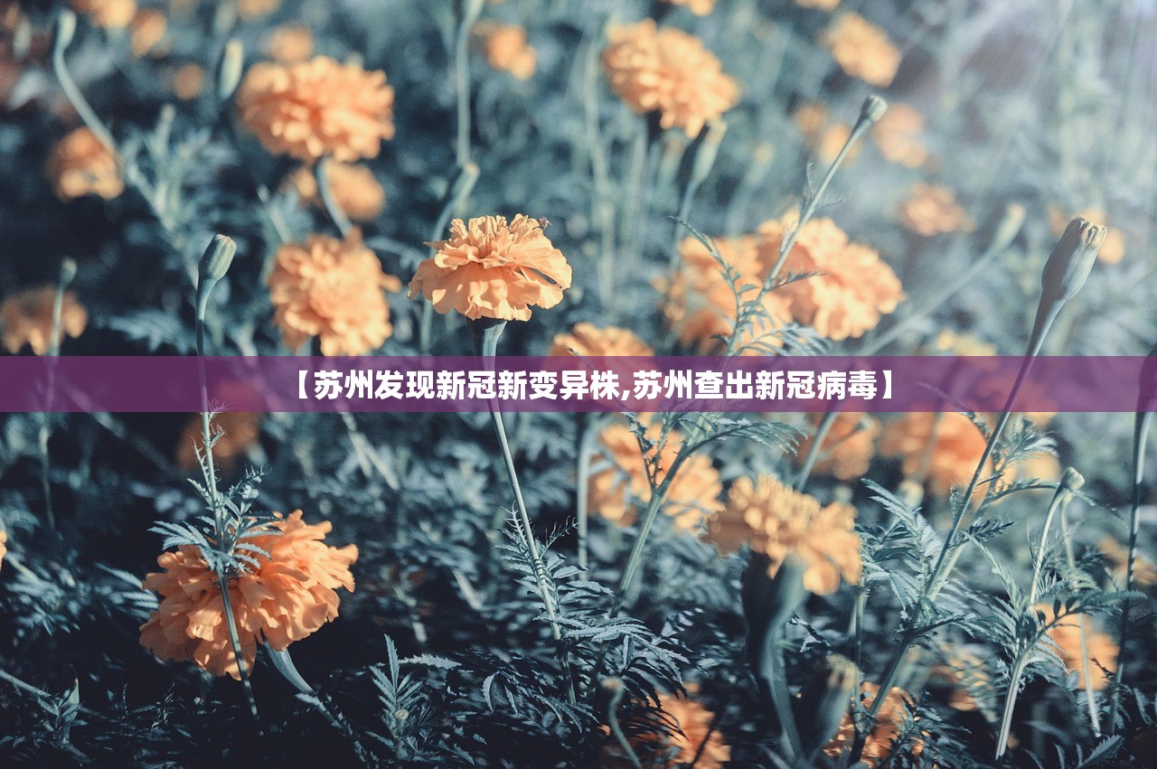 【苏州发现新冠新变异株,苏州查出新冠病毒】