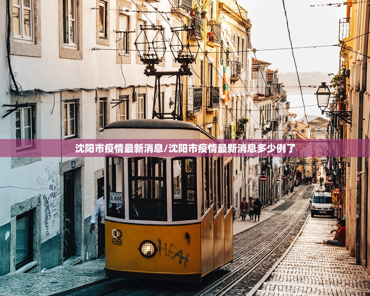 沈阳市疫情最新消息/沈阳市疫情最新消息多少例了