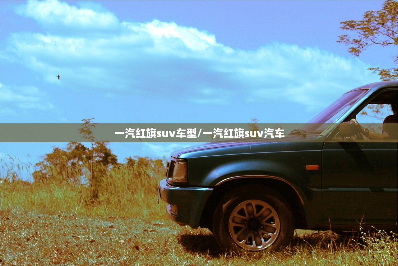 一汽红旗suv车型/一汽红旗suv汽车