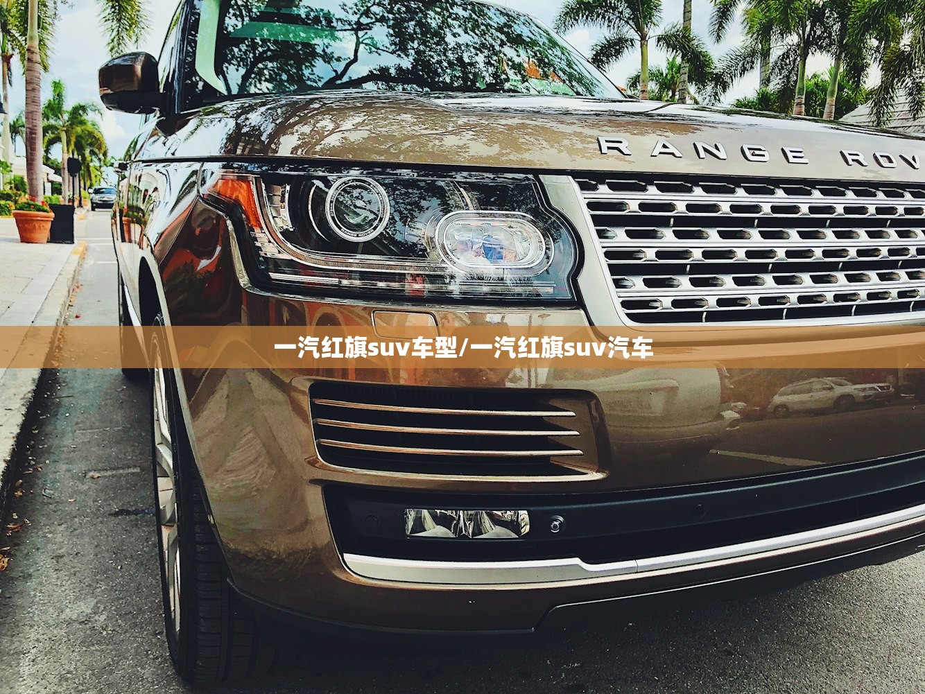 一汽红旗suv车型/一汽红旗suv汽车