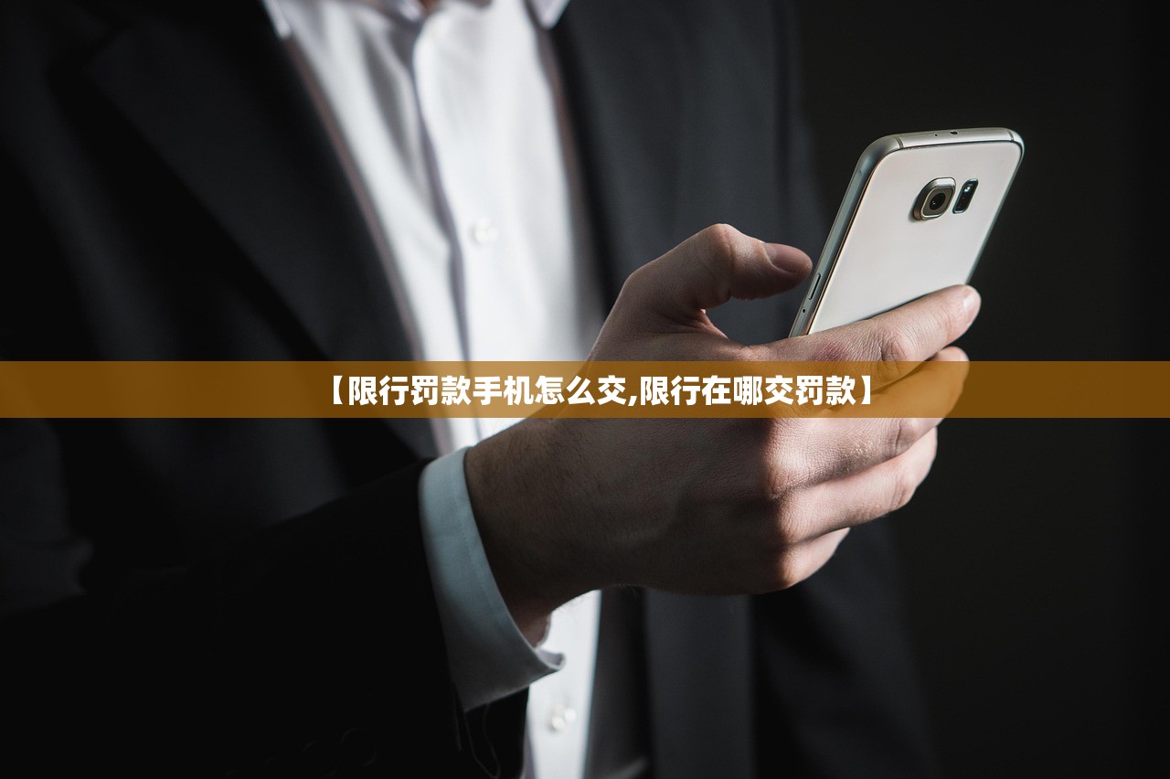 【限行罚款手机怎么交,限行在哪交罚款】