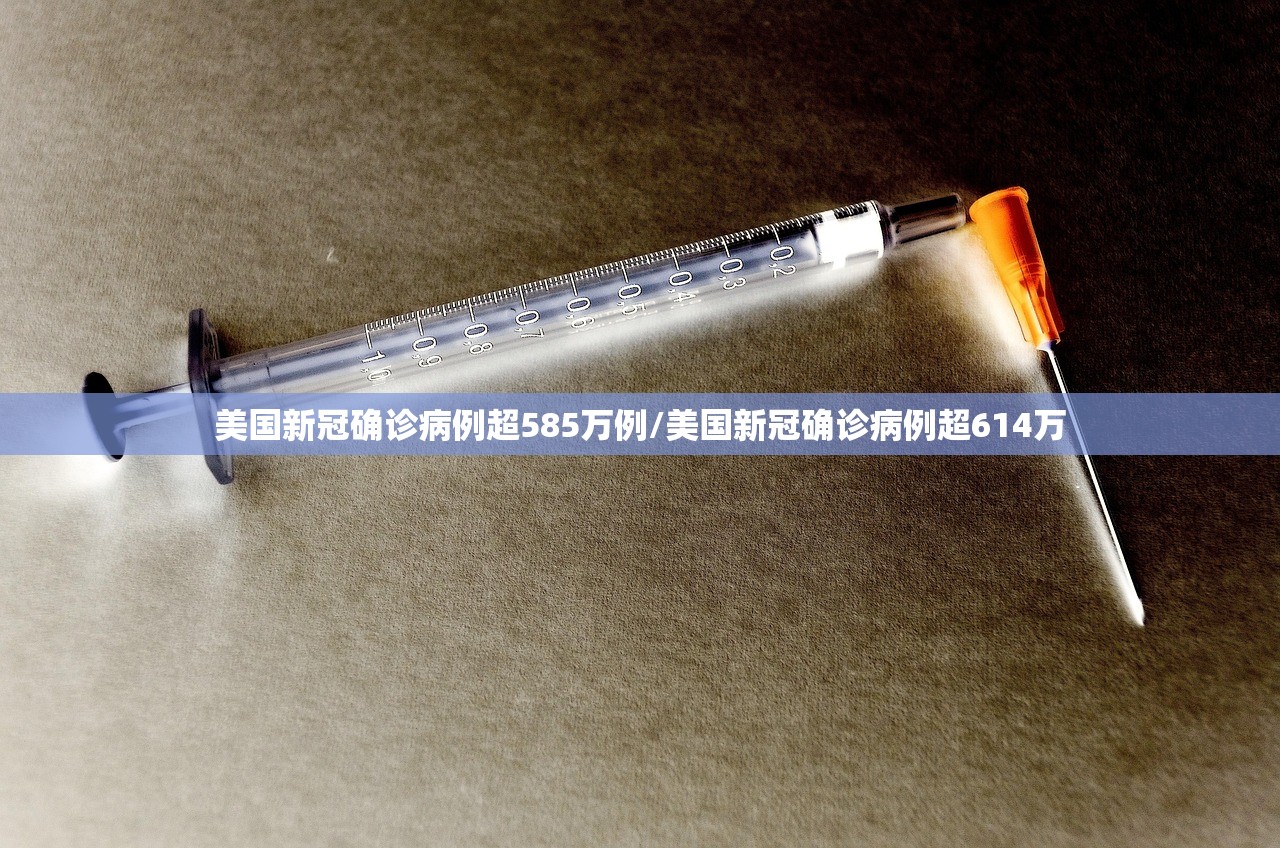 美国新冠确诊病例超585万例/美国新冠确诊病例超614万