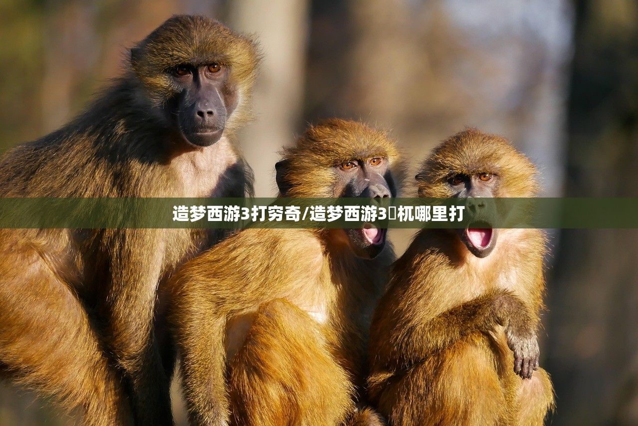 造梦西游3打穷奇/造梦西游3梼杌哪里打