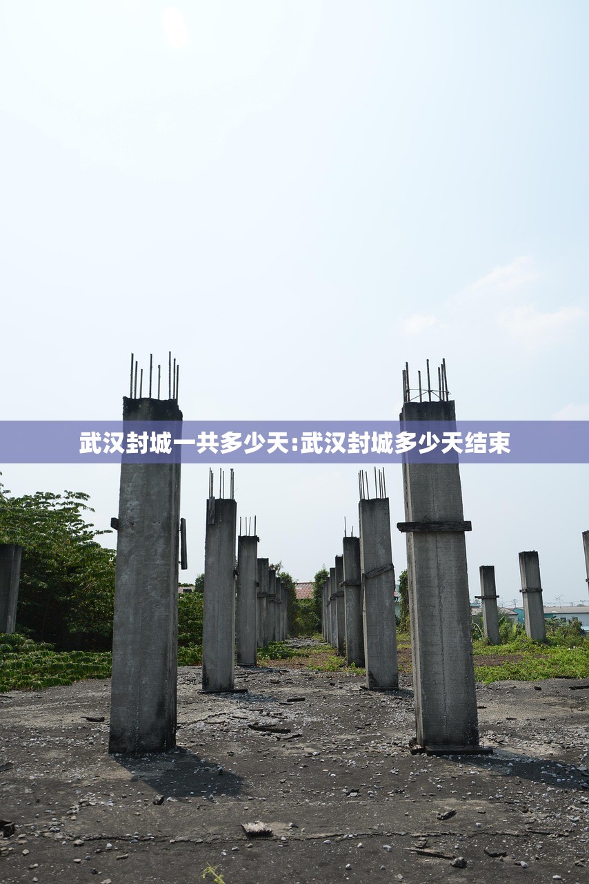 武汉封城一共多少天:武汉封城多少天结束