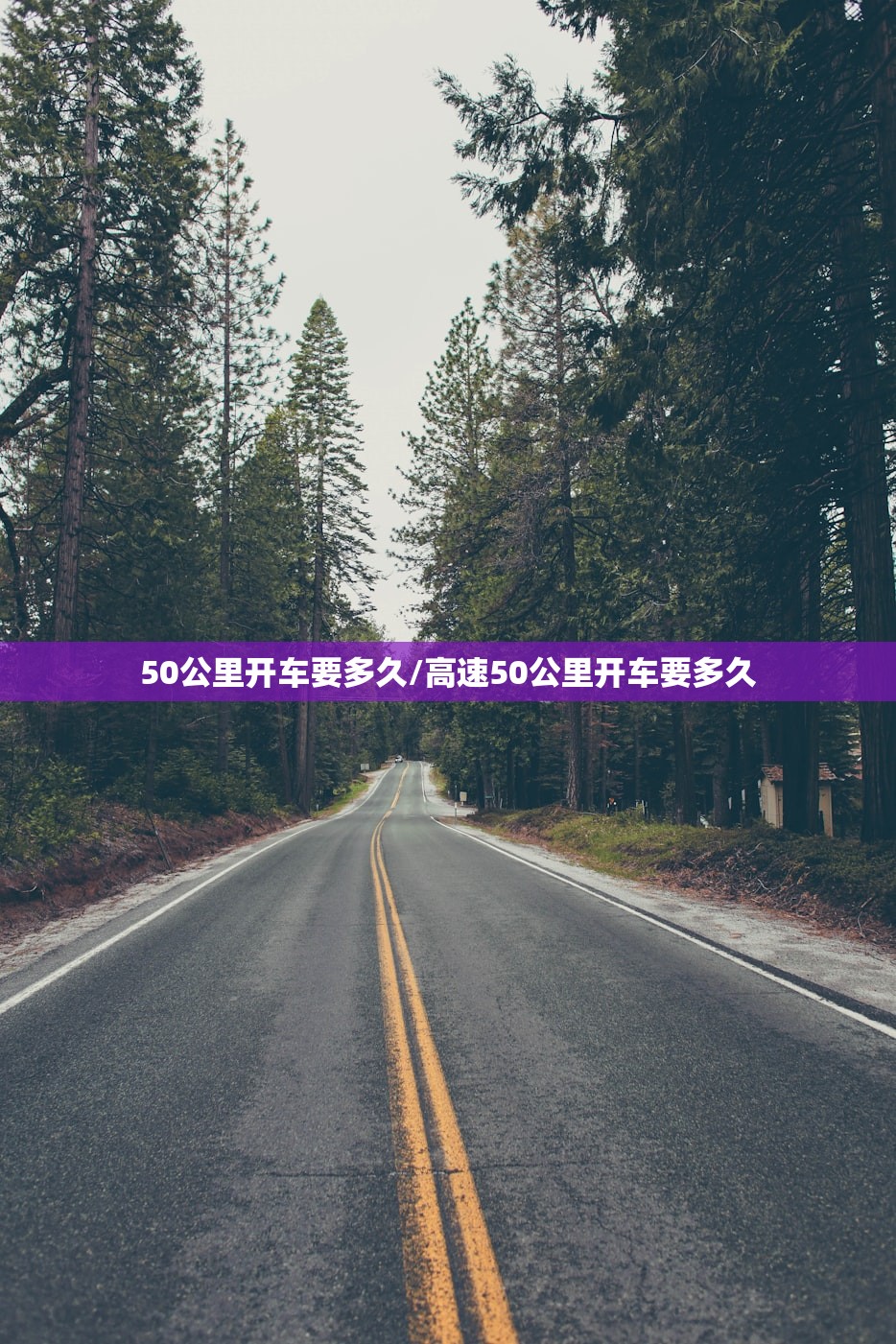 50公里开车要多久/高速50公里开车要多久