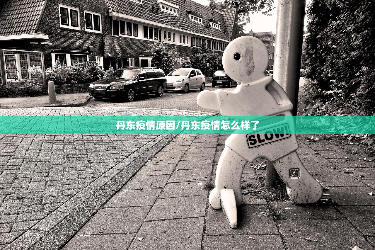 丹东疫情原因/丹东疫情怎么样了
