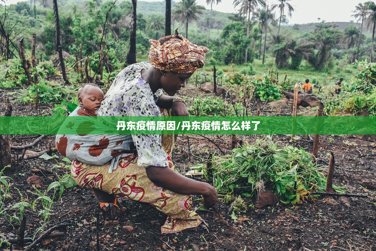 丹东疫情原因/丹东疫情怎么样了