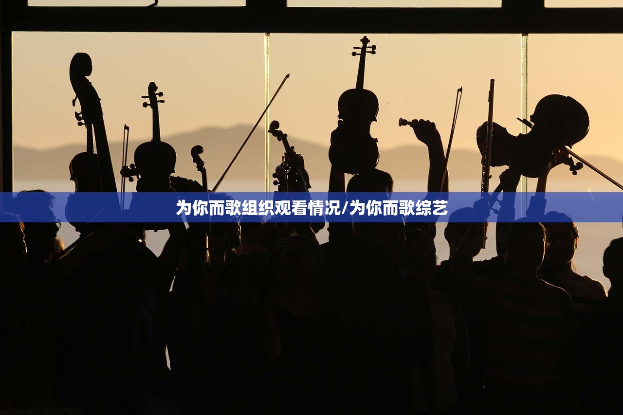为你而歌组织观看情况/为你而歌综艺