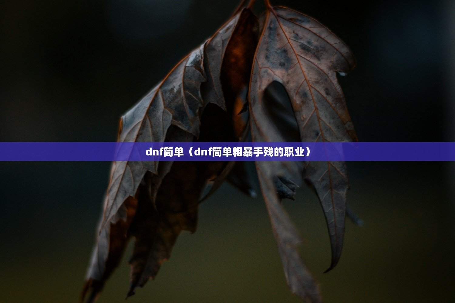 dnf简单（dnf简单粗暴手残的职业）