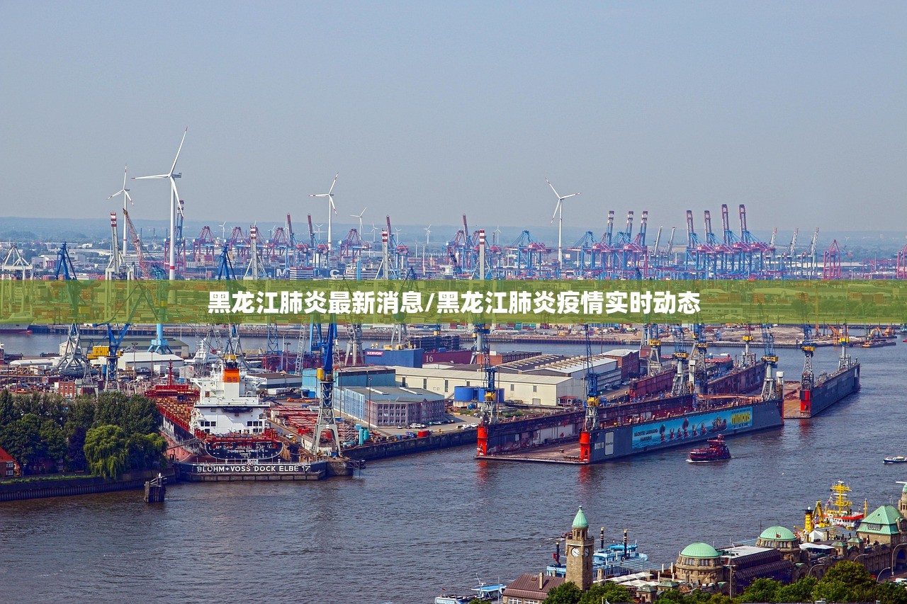 黑龙江肺炎最新消息/黑龙江肺炎疫情实时动态