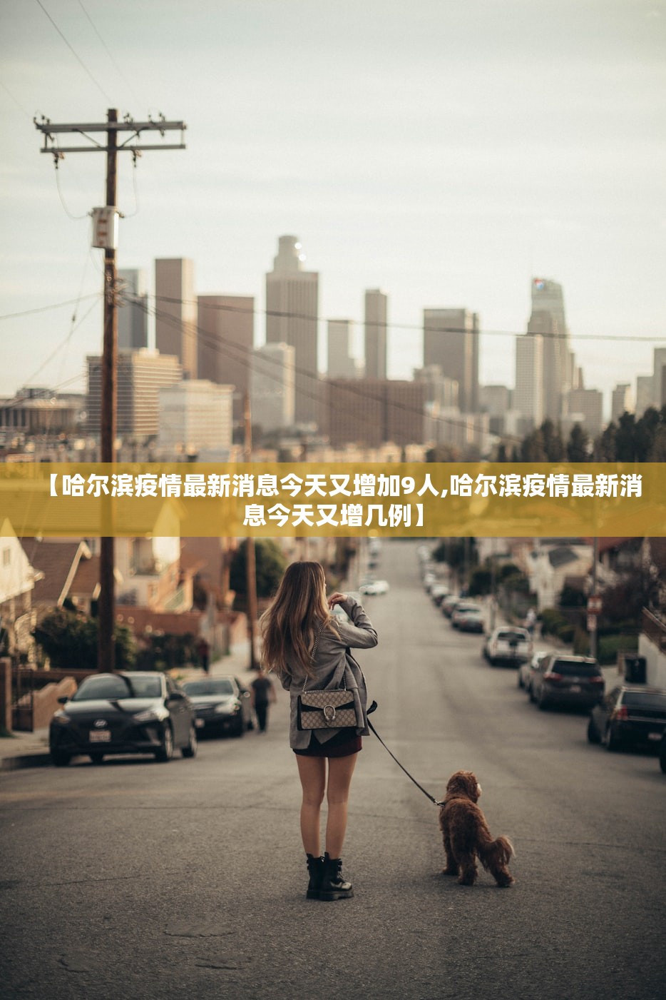 【哈尔滨疫情最新消息今天又增加9人,哈尔滨疫情最新消息今天又增几例】