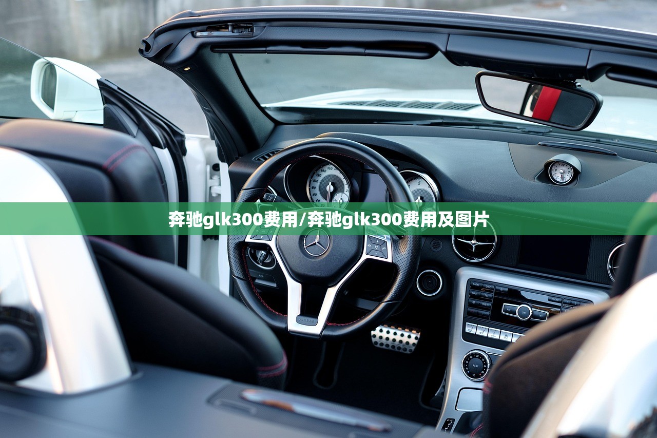 奔驰glk300费用/奔驰glk300费用及图片