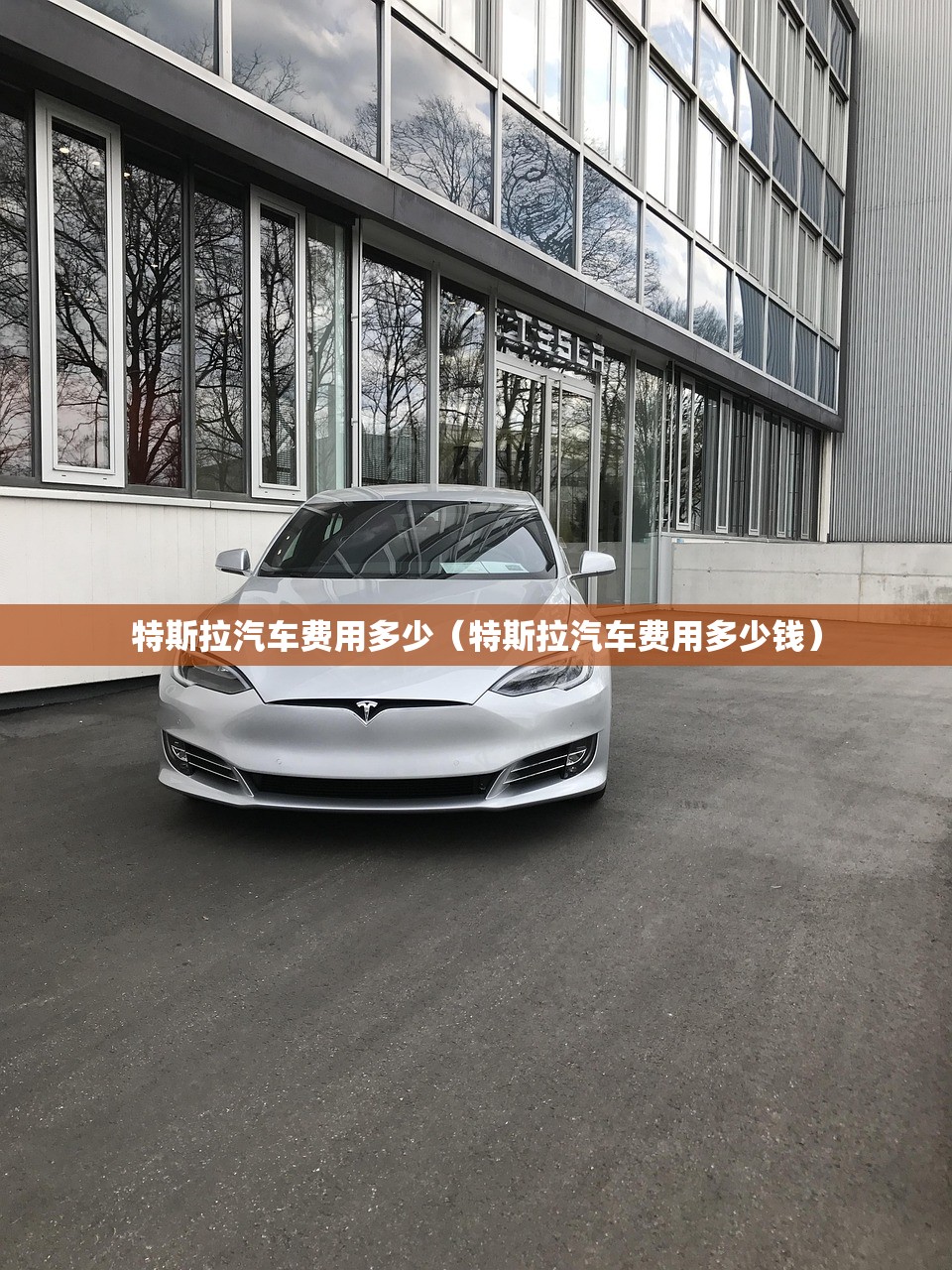 特斯拉汽车费用多少（特斯拉汽车费用多少钱）