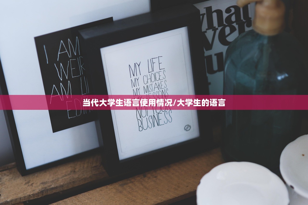 当代大学生语言使用情况/大学生的语言