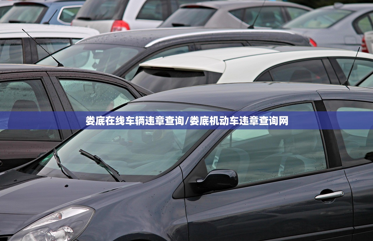 娄底在线车辆违章查询/娄底机动车违章查询网