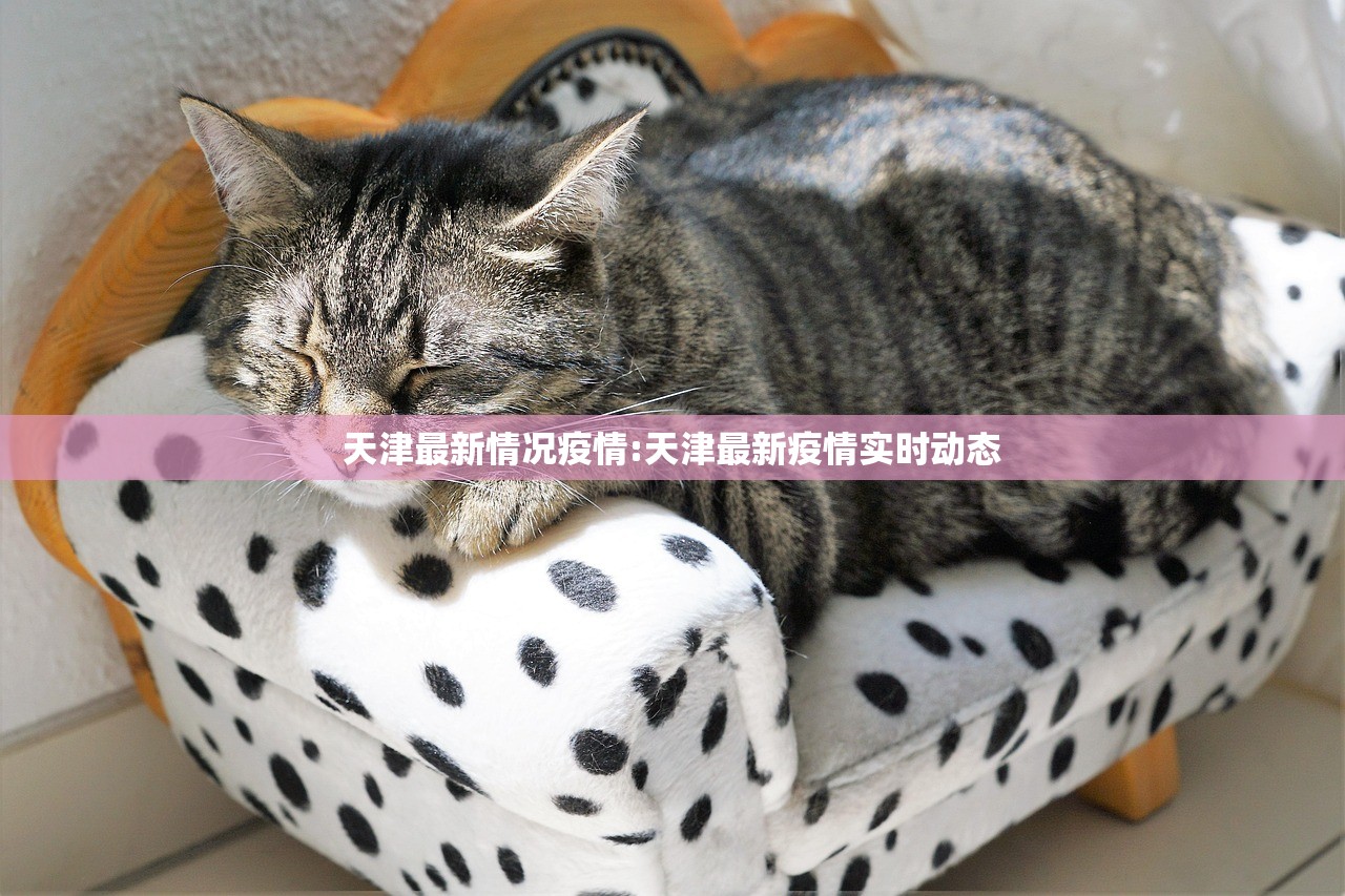 天津最新情况疫情:天津最新疫情实时动态