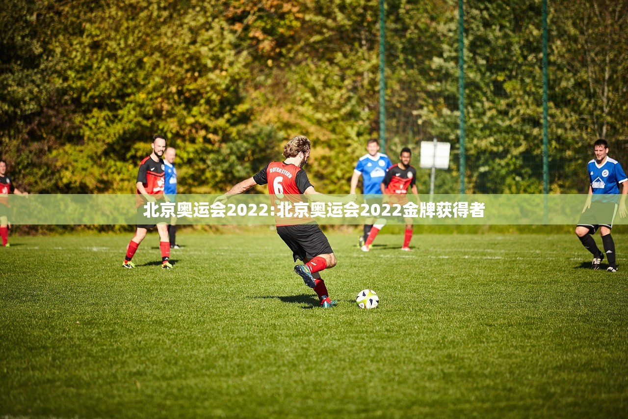 北京奥运会2022:北京奥运会2022金牌获得者
