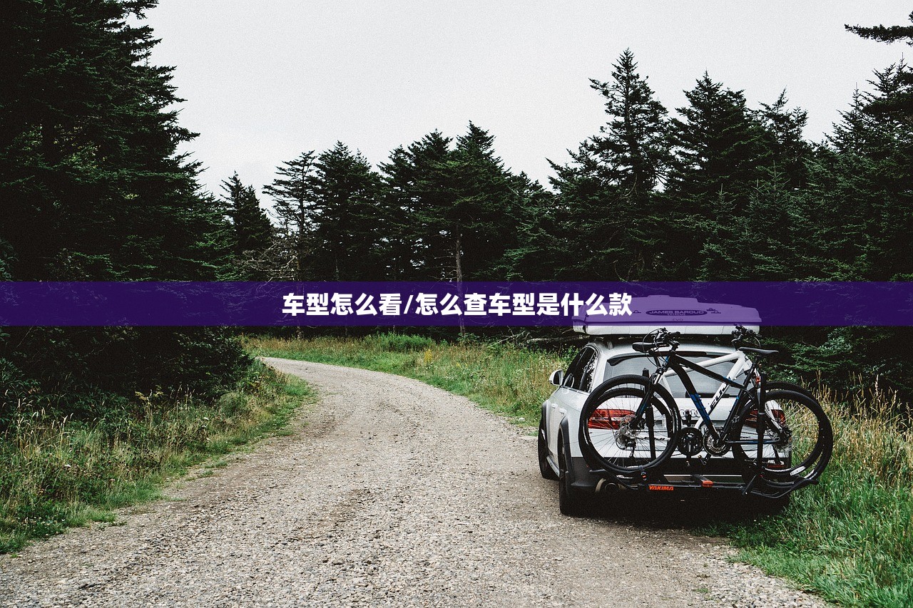 车型怎么看/怎么查车型是什么款