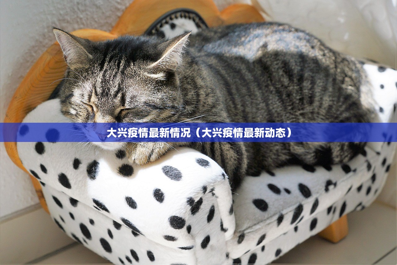 大兴疫情最新情况（大兴疫情最新动态）