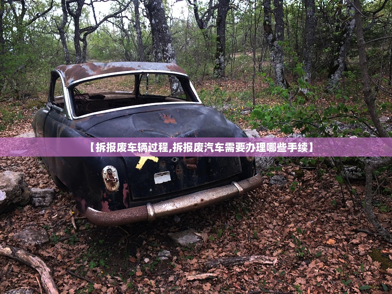 【拆报废车辆过程,拆报废汽车需要办理哪些手续】