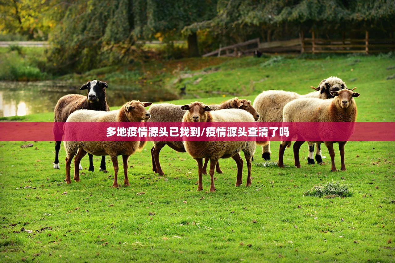 多地疫情源头已找到/疫情源头查清了吗