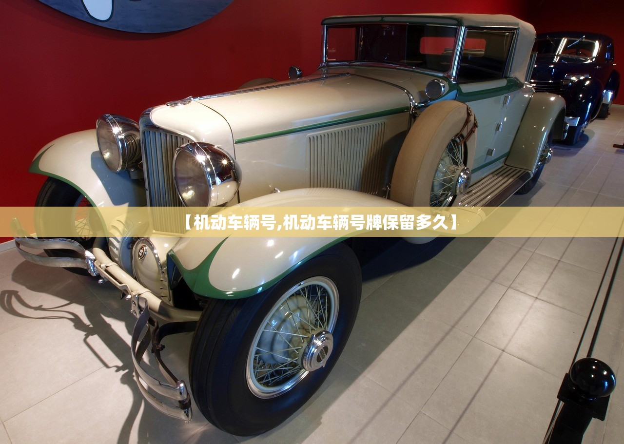 【机动车辆号,机动车辆号牌保留多久】
