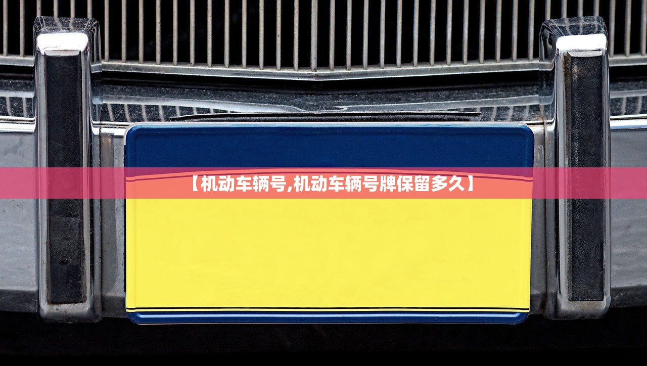 【机动车辆号,机动车辆号牌保留多久】