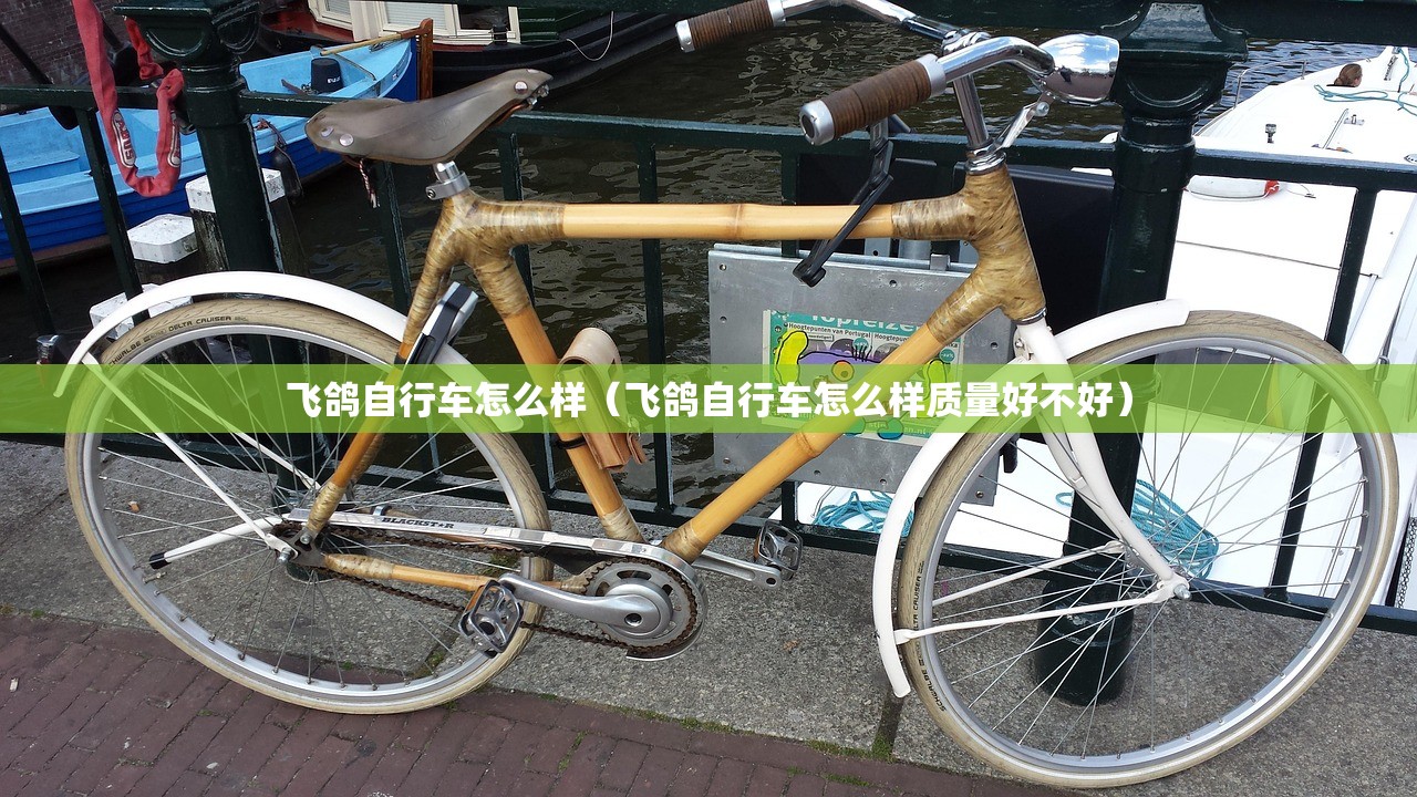 飞鸽自行车怎么样(飞鸽自行车怎么样质量好不好) 飞鸽自行车怎么样(飞鸽自行车怎么样质量好不好)
