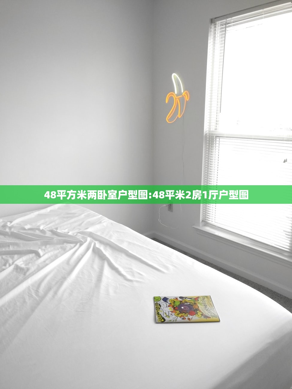 48平方米两卧室户型图:48平米2房1厅户型图