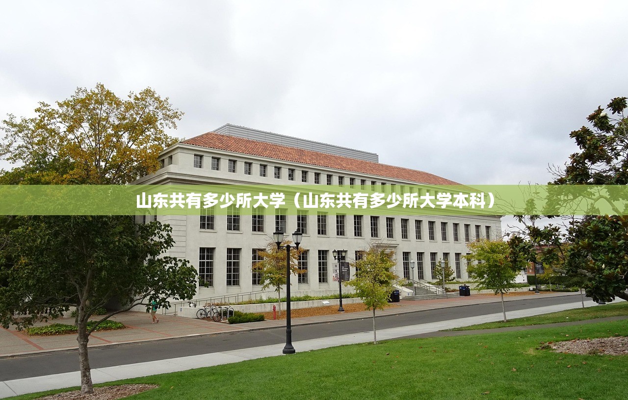 山东共有多少所大学（山东共有多少所大学本科）
