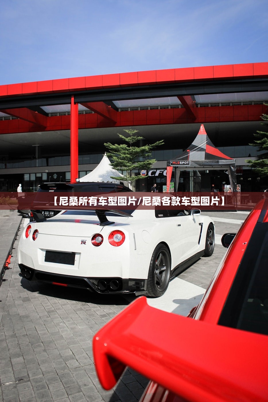 【尼桑所有车型图片/尼桑各款车型图片】