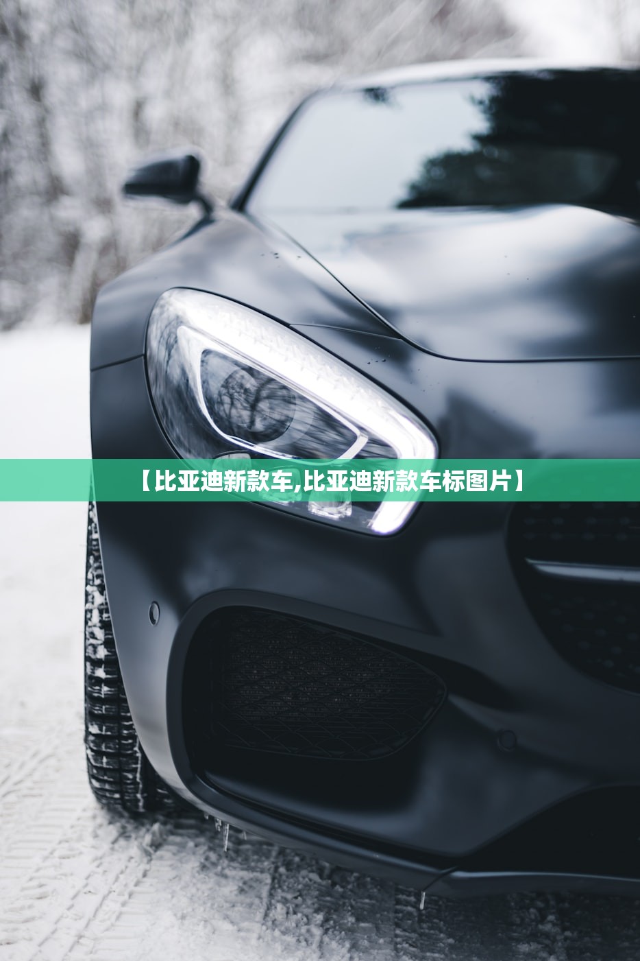 【比亚迪新款车,比亚迪新款车标图片】