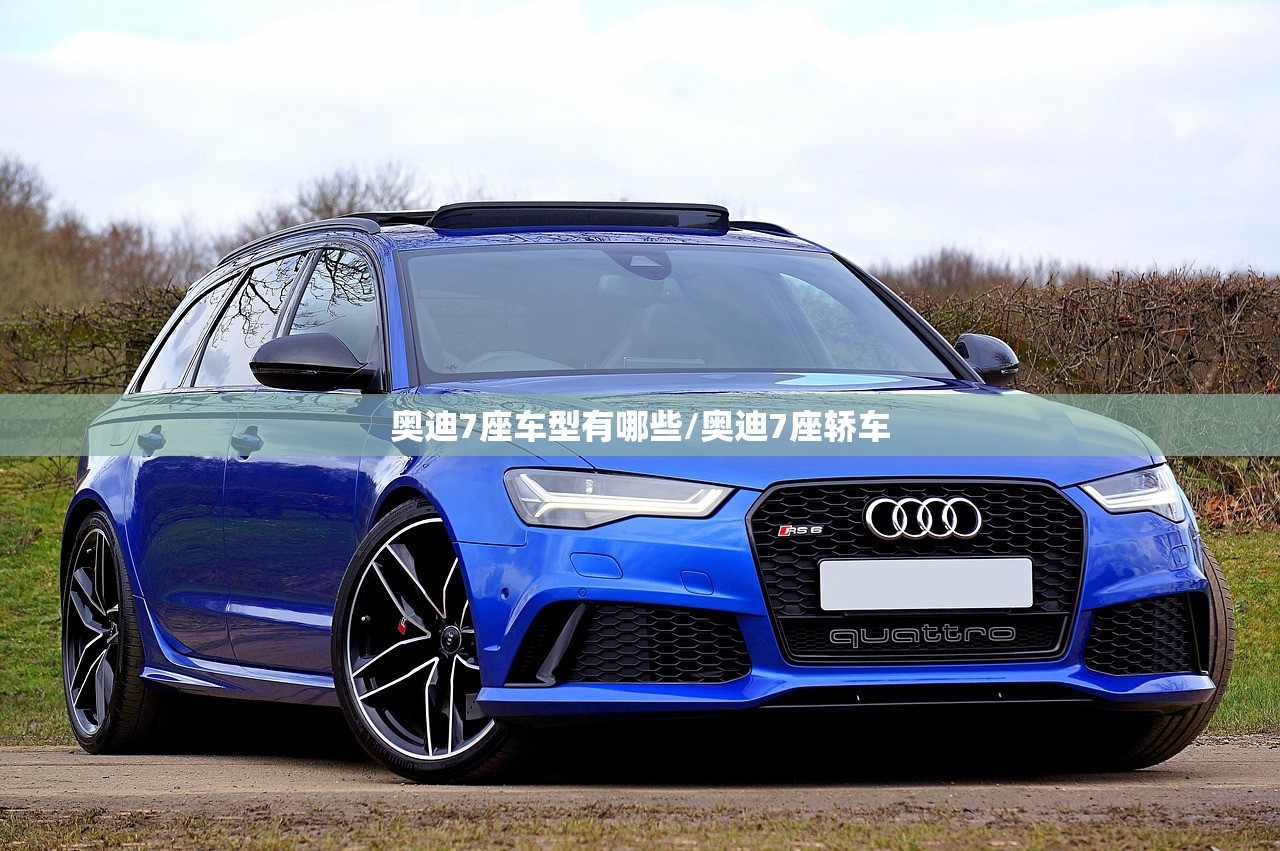 奥迪7座车型有哪些/奥迪7座轿车