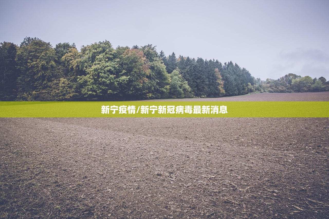 新宁疫情/新宁新冠病毒最新消息