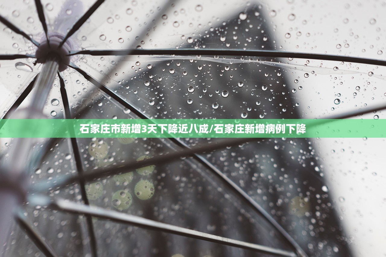 石家庄市新增3天下降近八成/石家庄新增病例下降