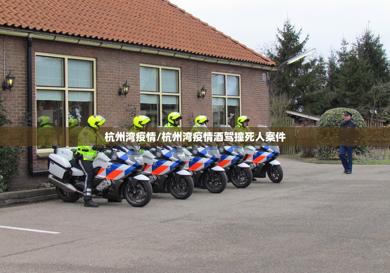 杭州湾疫情/杭州湾疫情酒驾撞死人案件