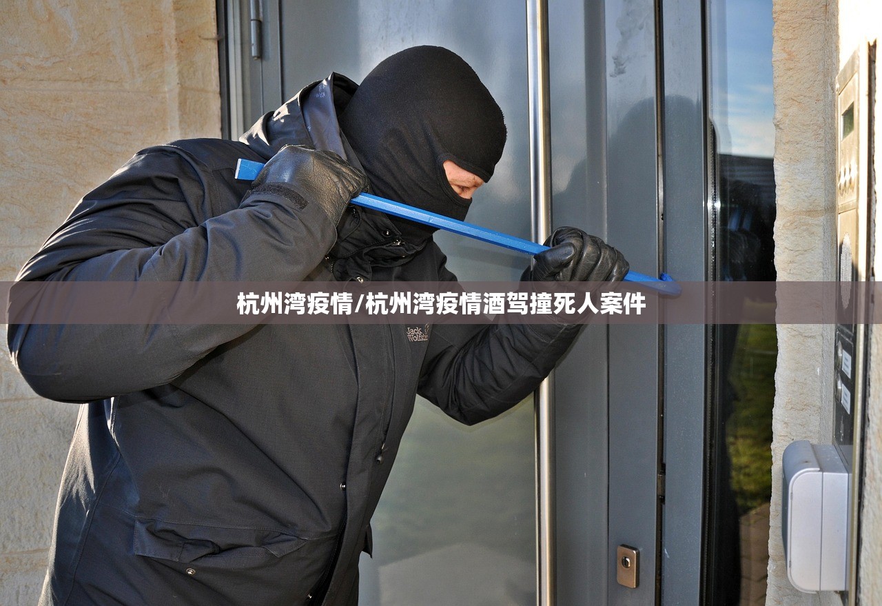 杭州湾疫情/杭州湾疫情酒驾撞死人案件