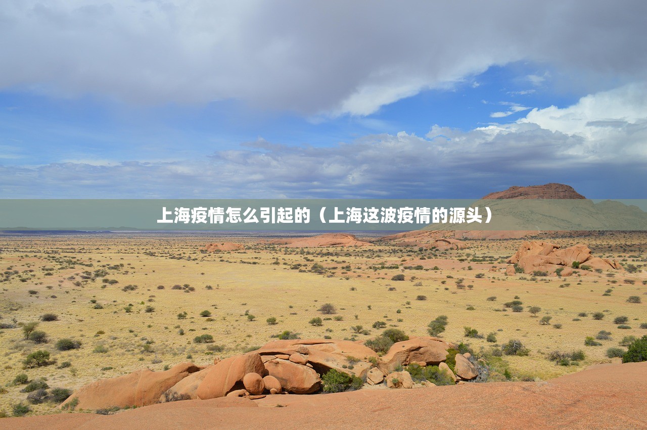 上海疫情怎么引起的（上海这波疫情的源头）