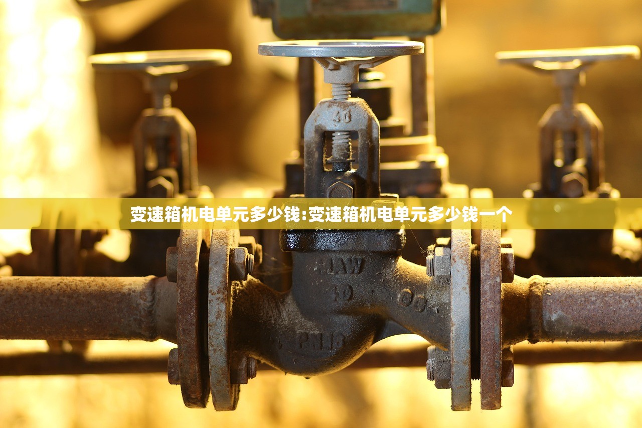 变速箱机电单元多少钱:变速箱机电单元多少钱一个