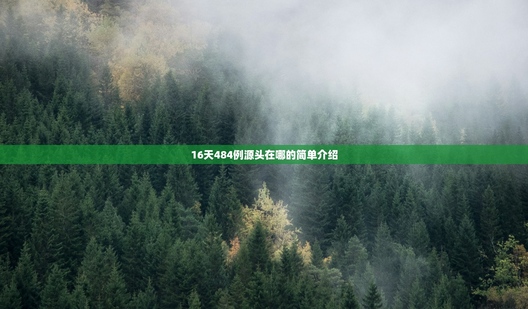 16天484例源头在哪的简单介绍
