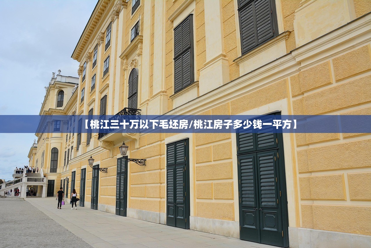 【桃江三十万以下毛坯房/桃江房子多少钱一平方】