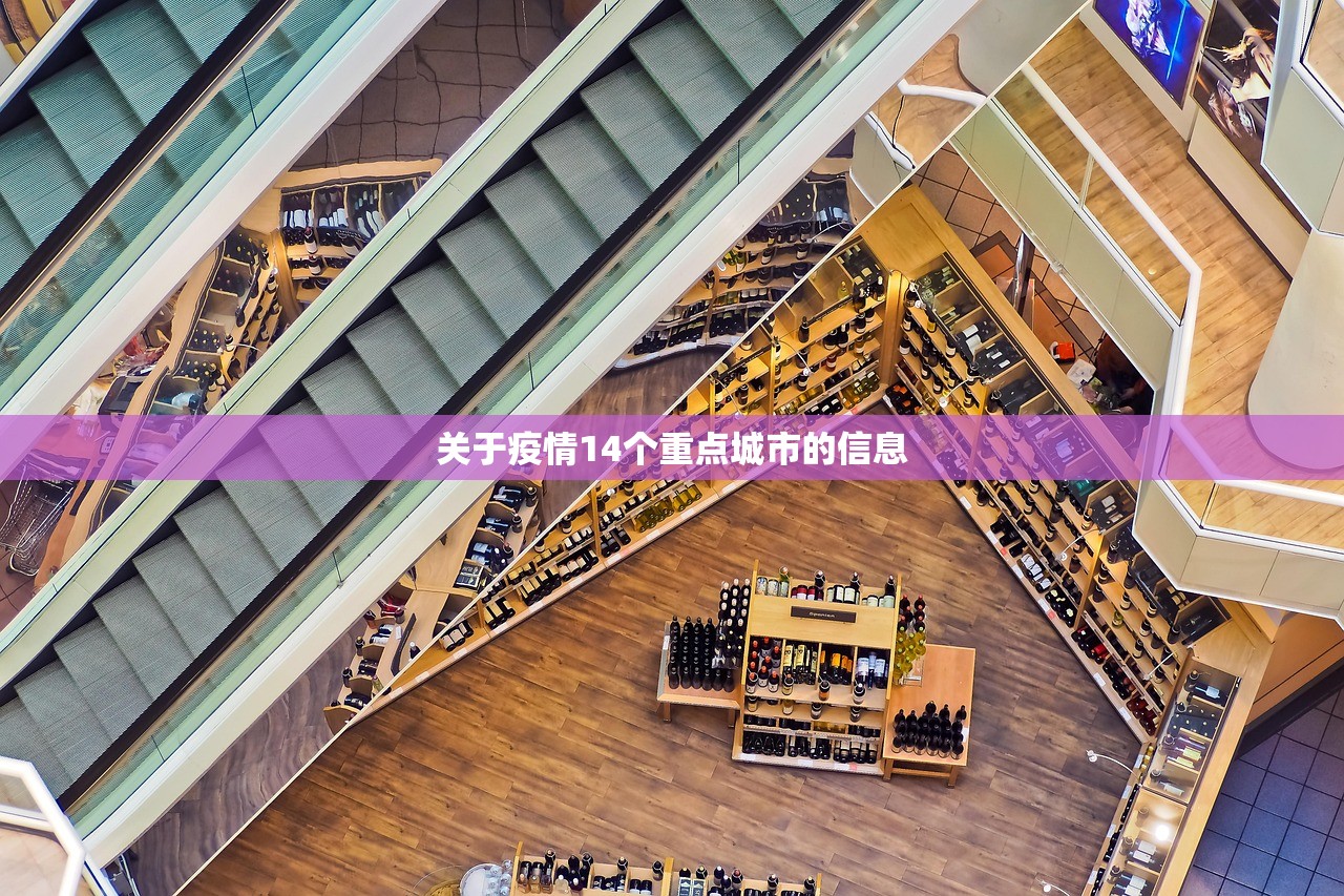 关于疫情14个重点城市的信息
