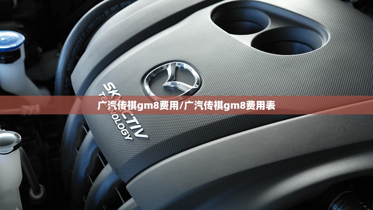 广汽传祺gm8费用/广汽传祺gm8费用表 广汽传祺gm8费用/广汽传祺gm8费用表