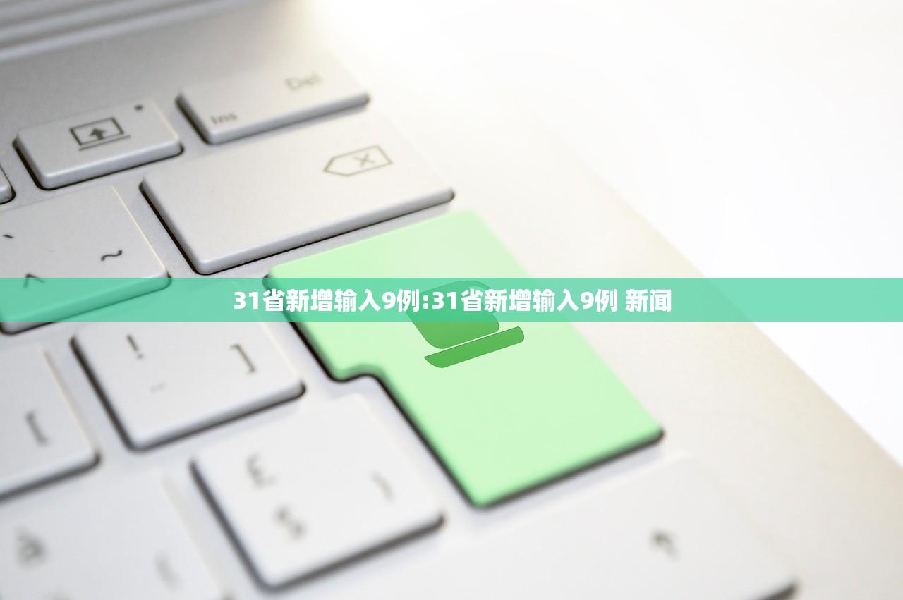 31省新增输入9例:31省新增输入9例 新闻