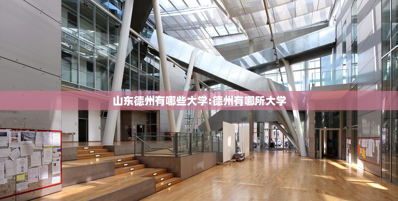 山东德州有哪些大学:德州有哪所大学