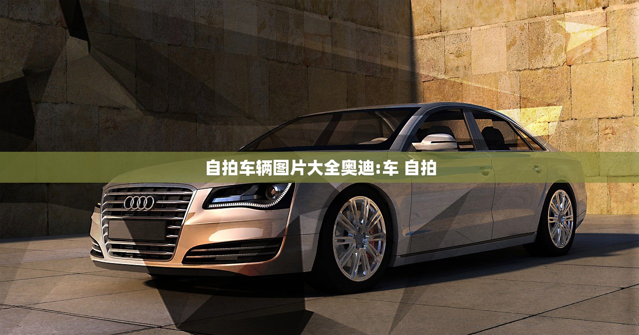 自拍车辆图片大全奥迪:车 自拍