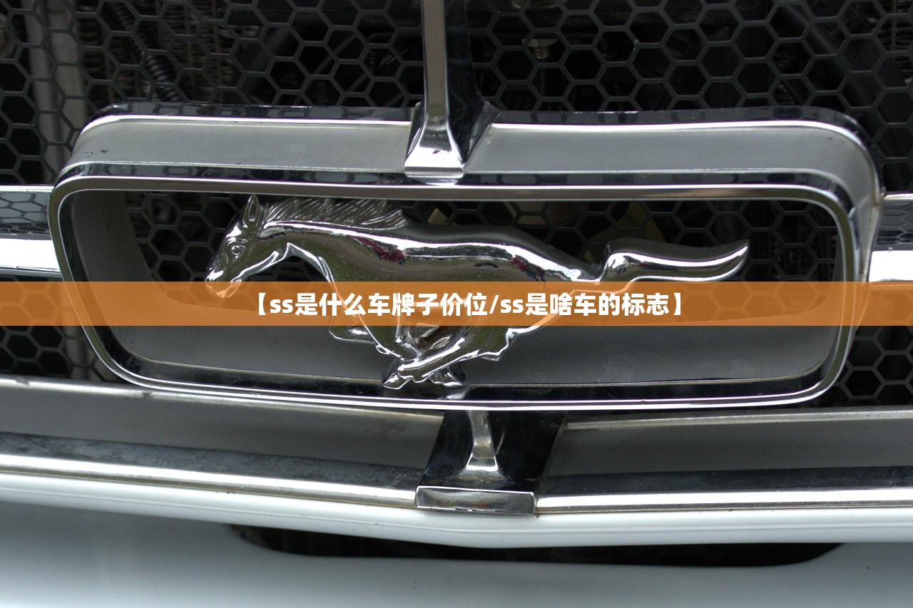 【ss是什么车牌子价位/ss是啥车的标志】 【ss是什么车牌子价位/ss是啥车的标志】