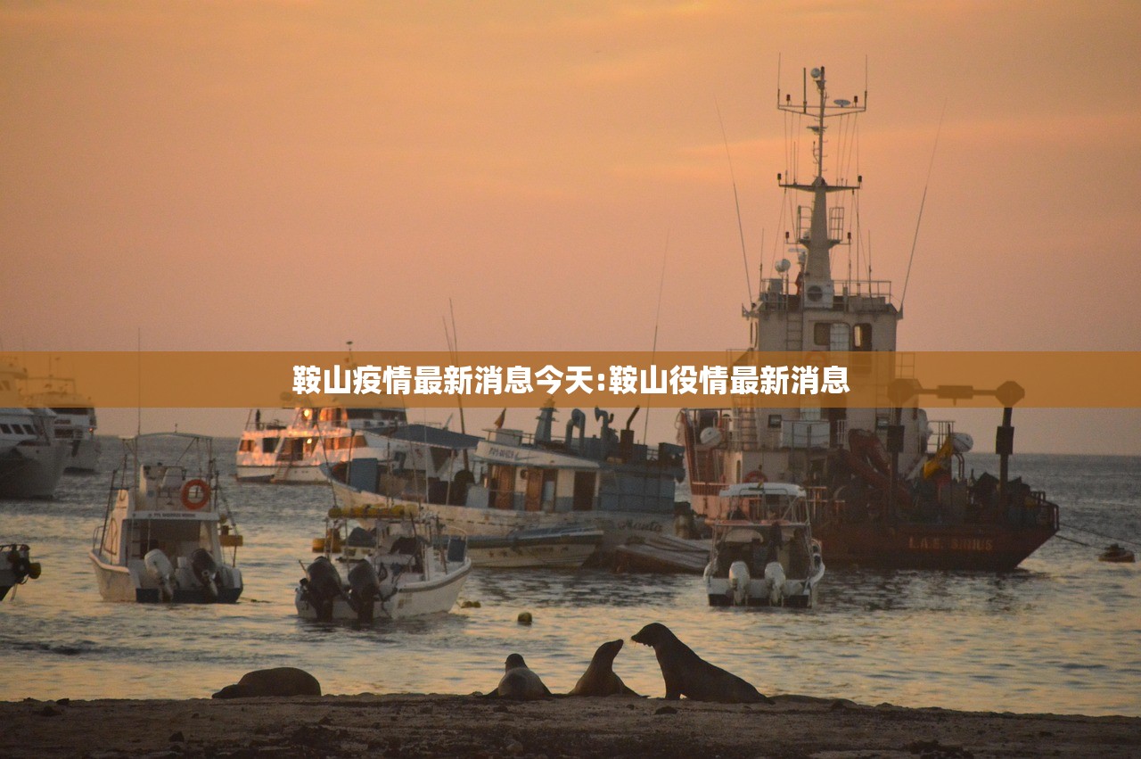 鞍山疫情最新消息今天:鞍山役情最新消息 鞍山疫情最新消息今天:鞍山役情最新消息